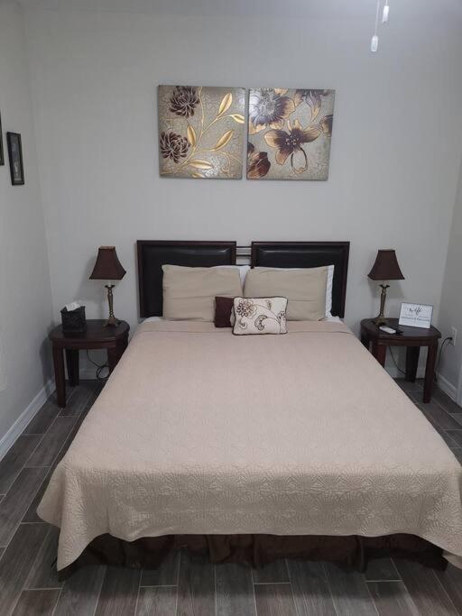 Sunshine Apartment แทมปา ภายนอก รูปภาพ